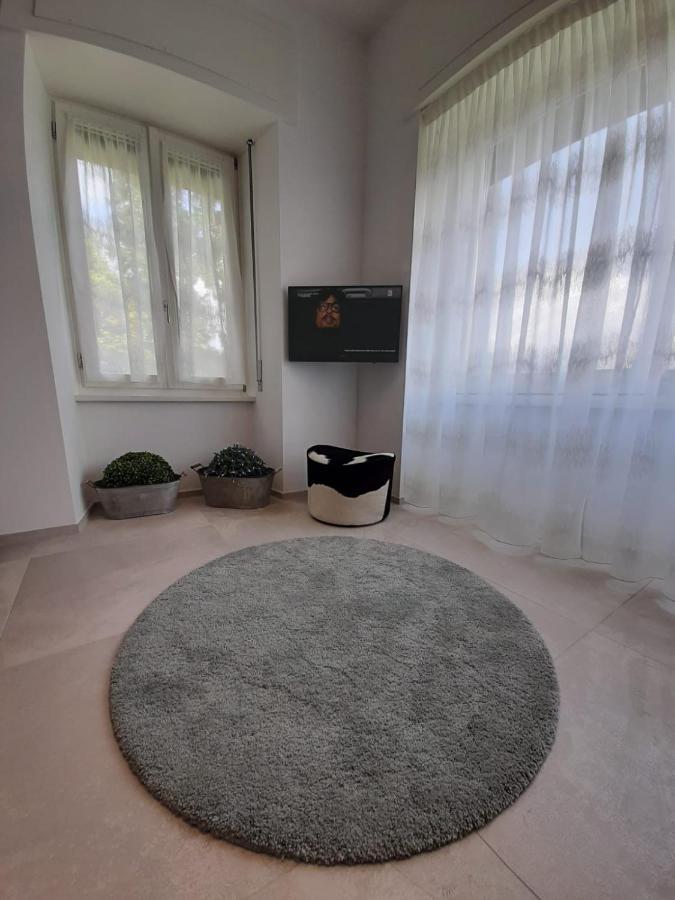 Bmp Apartment Gioiosa 2 Giardino Vista Lago Maggiore 贝尔吉拉泰 外观 照片