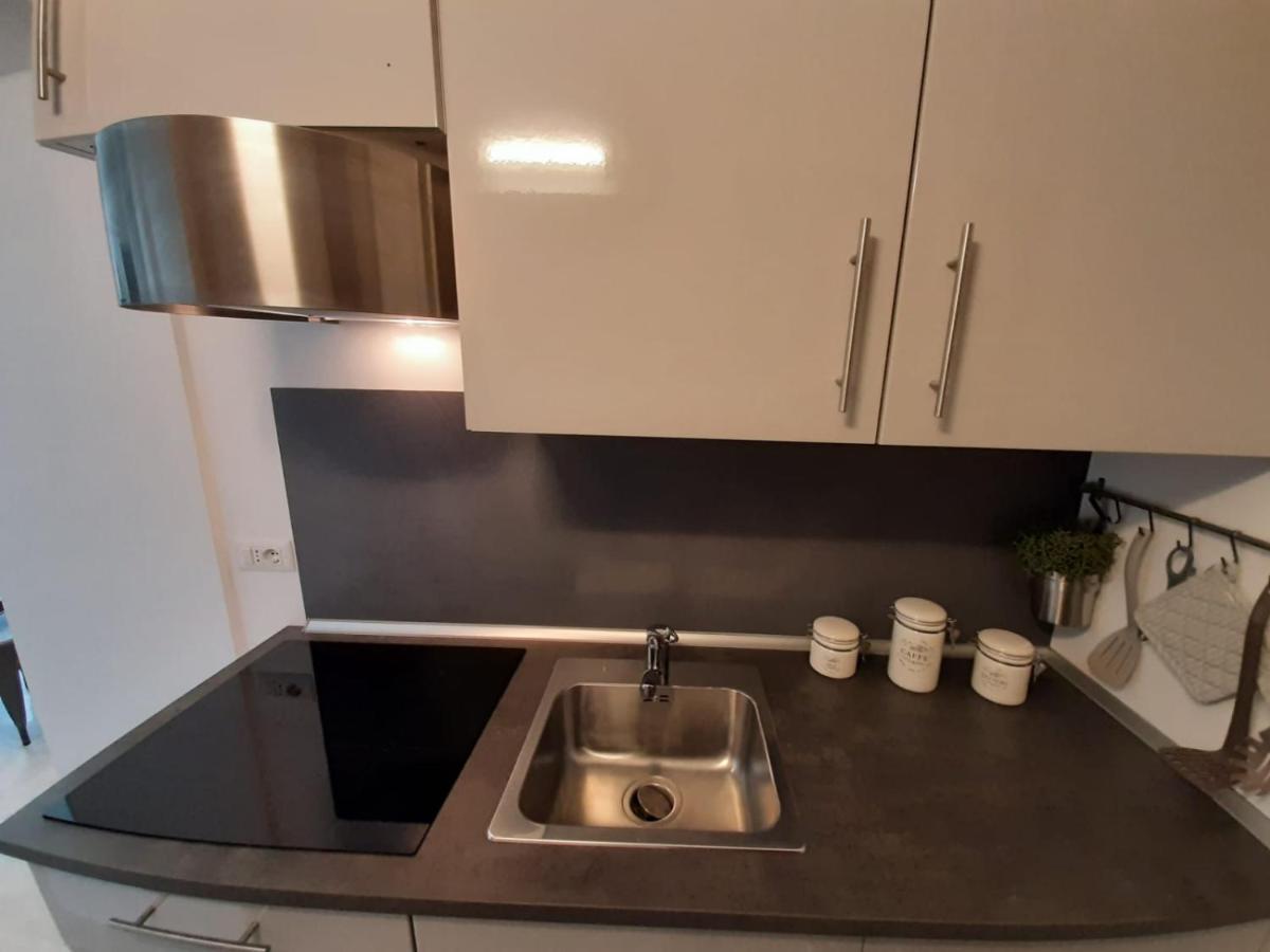 Bmp Apartment Gioiosa 2 Giardino Vista Lago Maggiore 贝尔吉拉泰 外观 照片