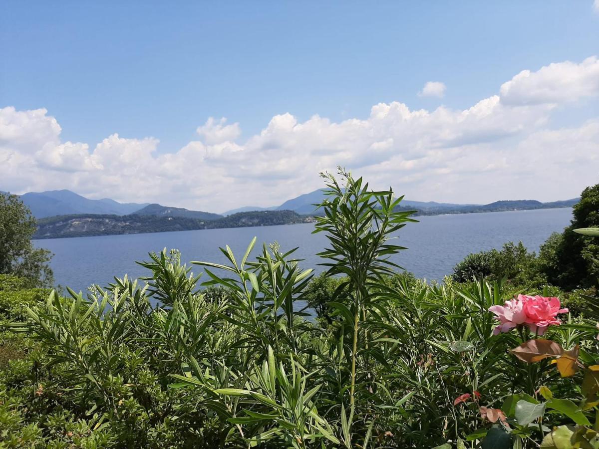Bmp Apartment Gioiosa 2 Giardino Vista Lago Maggiore 贝尔吉拉泰 外观 照片